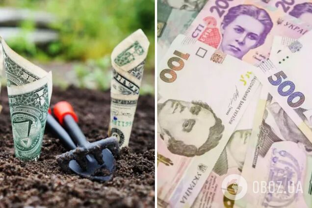 Як зберегти і примножити свої гроші: топ-6 ідей для інвестицій від провідних компаній України