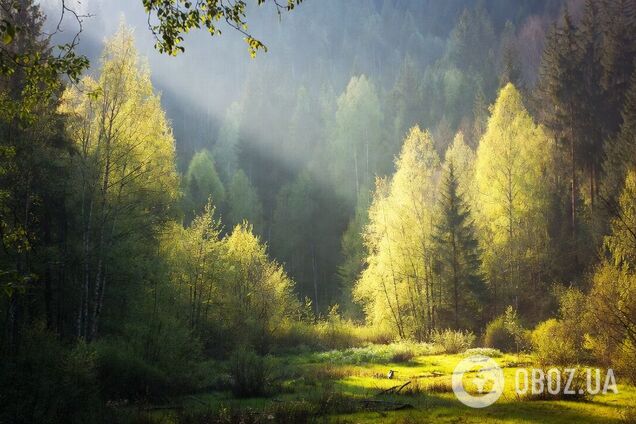 Дни становятся длиннее с беспрецедентной скоростью: ученые объяснили, что происходит