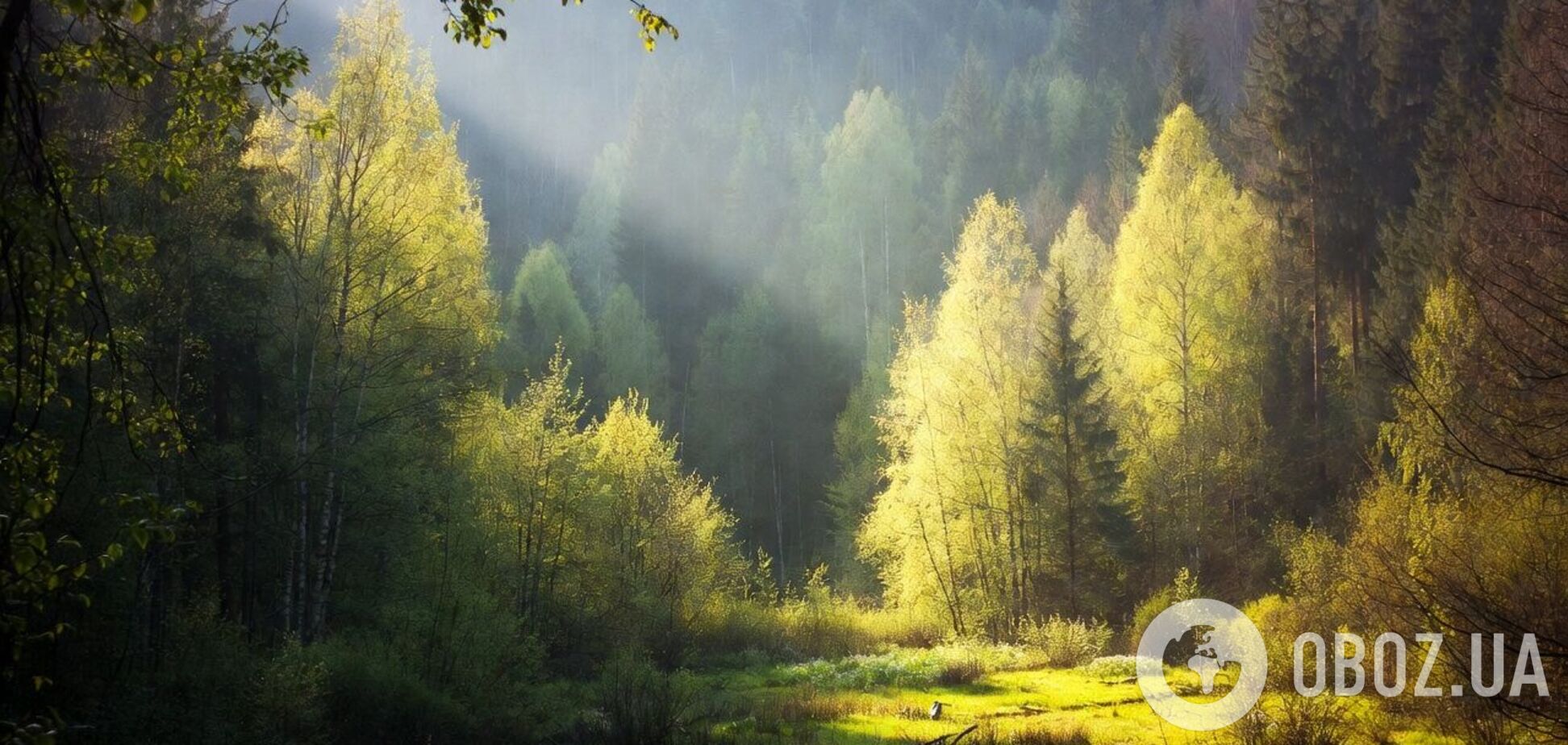 Дні стають довшими із безпрецедентною швидкістю: вчені пояснили, що відбувається