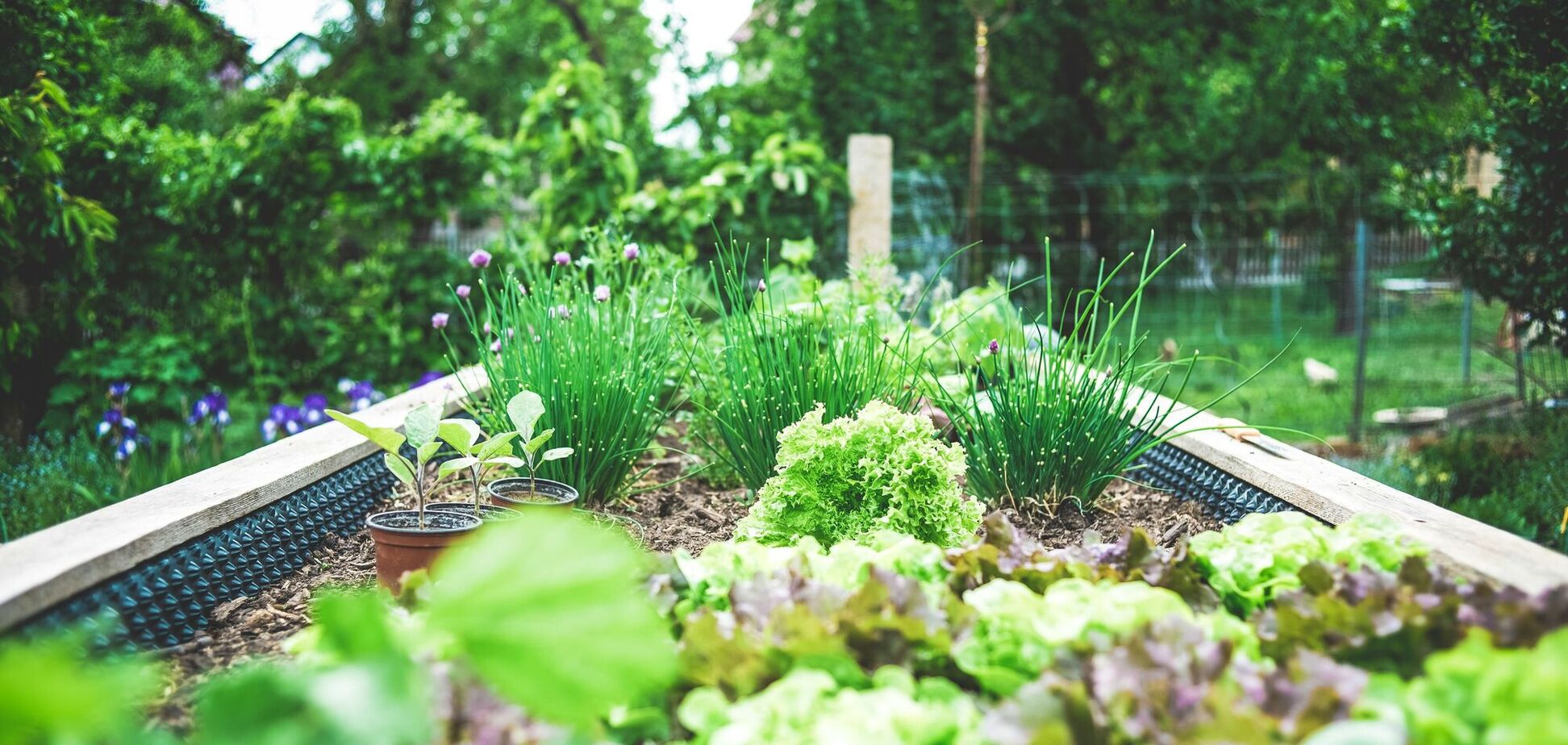 Чи можна садити город до Благовіщення: на що звертати увагу