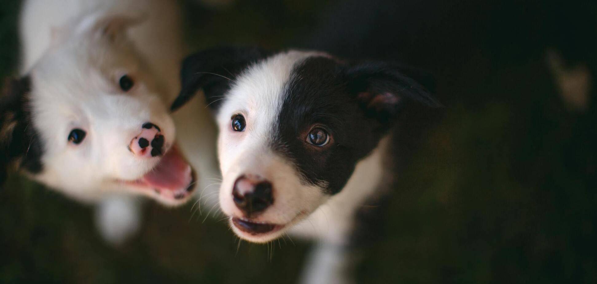 Яке свято відзначають 23 березня: церковний календар
