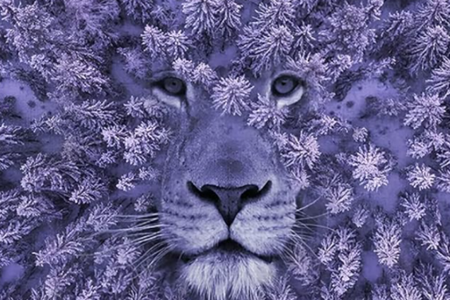 Что увидели первым? Тест покажет ваш подход к отношениям