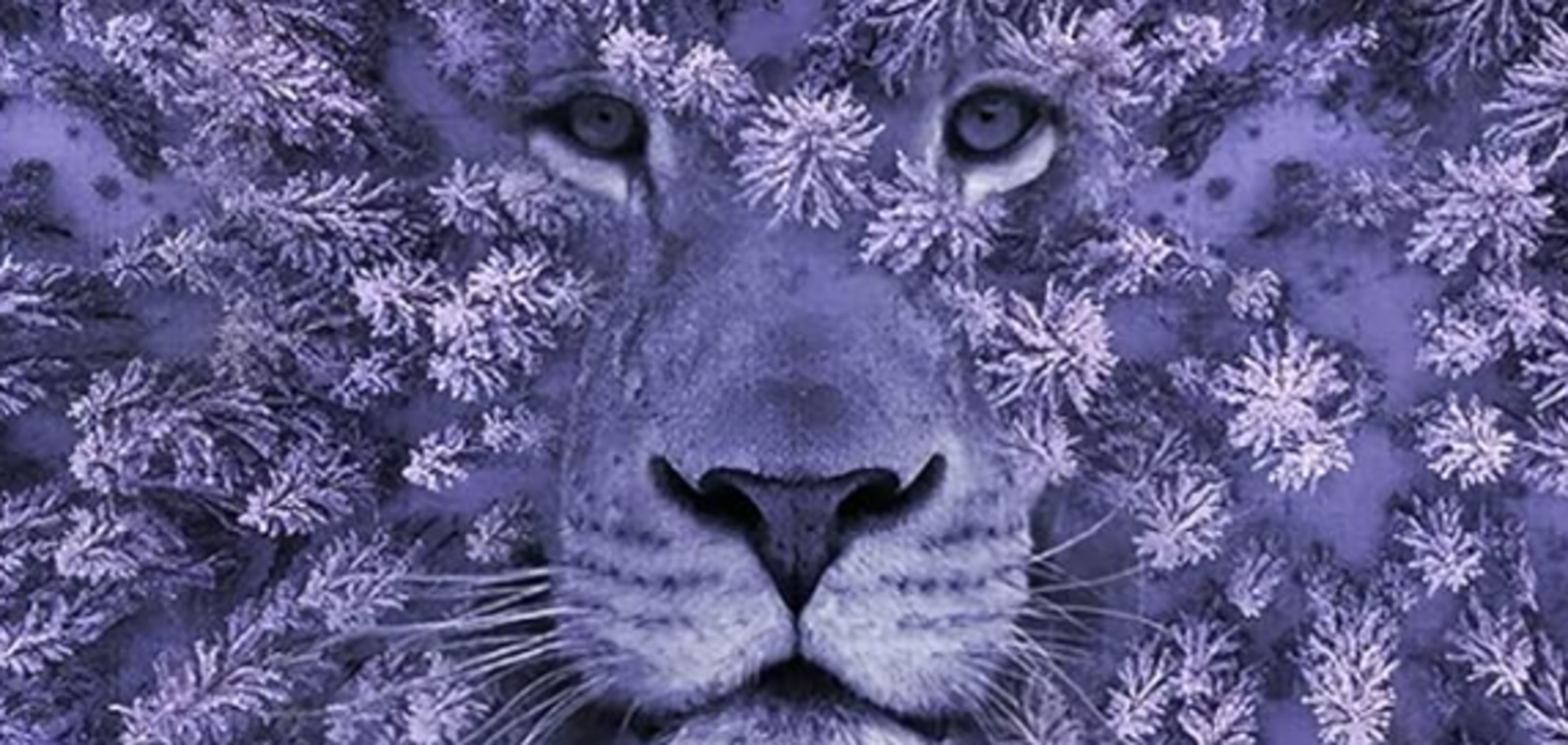 Что увидели первым? Тест покажет ваш подход к отношениям