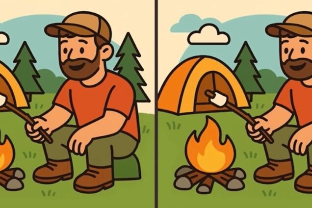 Найдите 3 отличия: справятся только самые внимательные