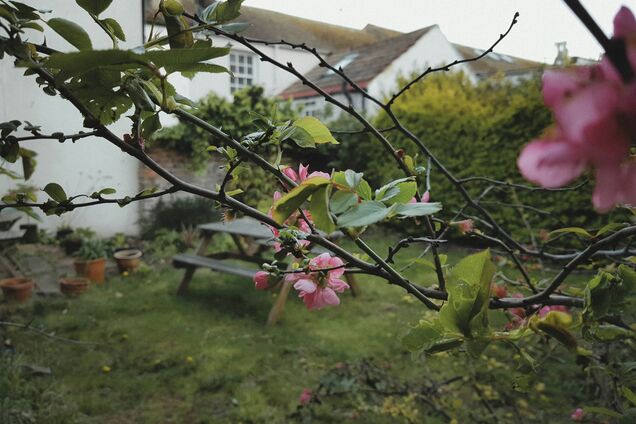 Яке свято відзначають 6 березня в Україні: церковний календар