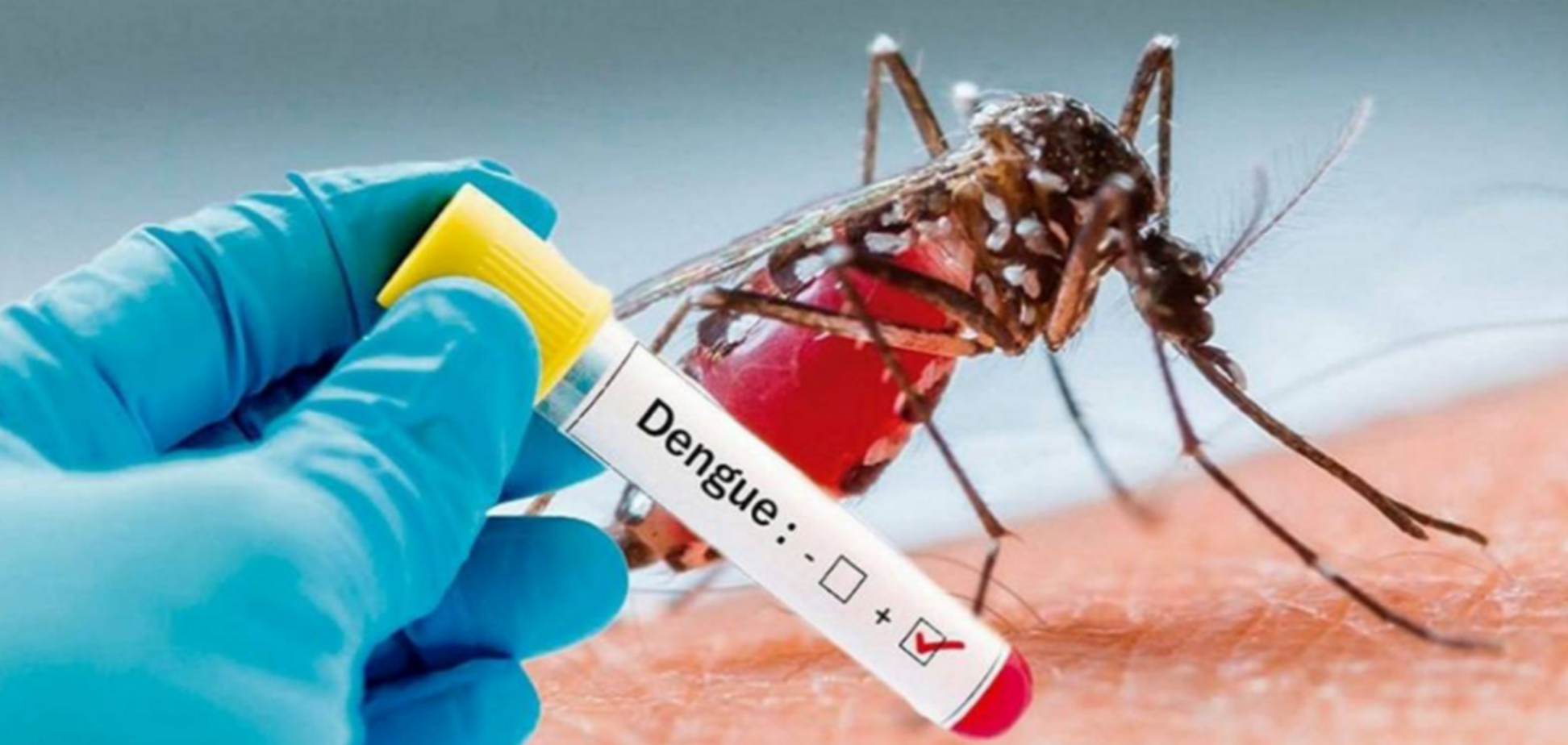 В українки після відпочинку на Мальдівах діагностували гарячку Денге: симптоми, як розпізнати хворобу