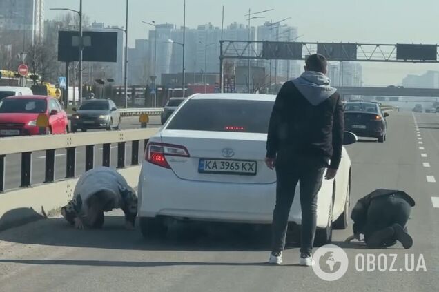 У Києві заради порятунку кошеняти перекривали рух авто на проспекті Бажана. Відео