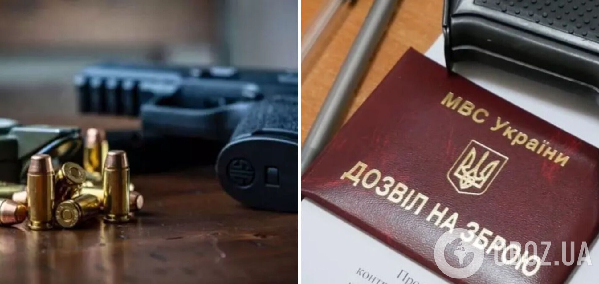 В Украине продолжается кампания по декларированию оружия и боеприпасов: алгоритм действий