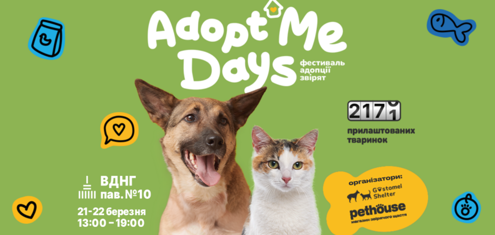Весна, котики и добрые дела: в Киеве пройдет фестиваль AdoptMe Days