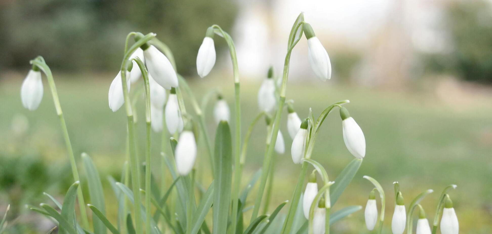 В Україну ще ввірветься нова хвиля похолодання: коли чекати зміни погоди