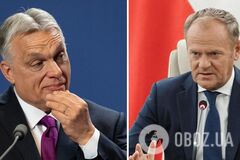 'Имеете польские обязанности, а не российские': Туск раскритиковал Навроцкого за поддержку Орбана