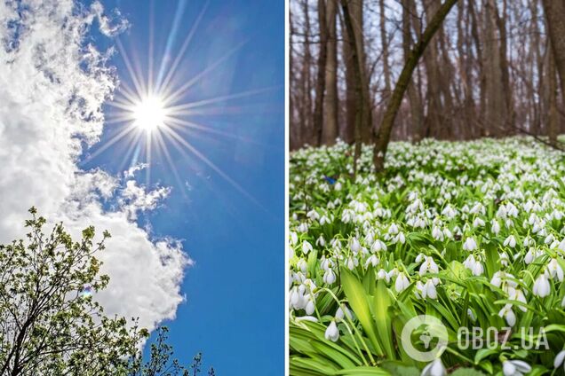 Тиск продовжуватиме падати: синоптики сказали, де в середу очікувати дощів. Карта
