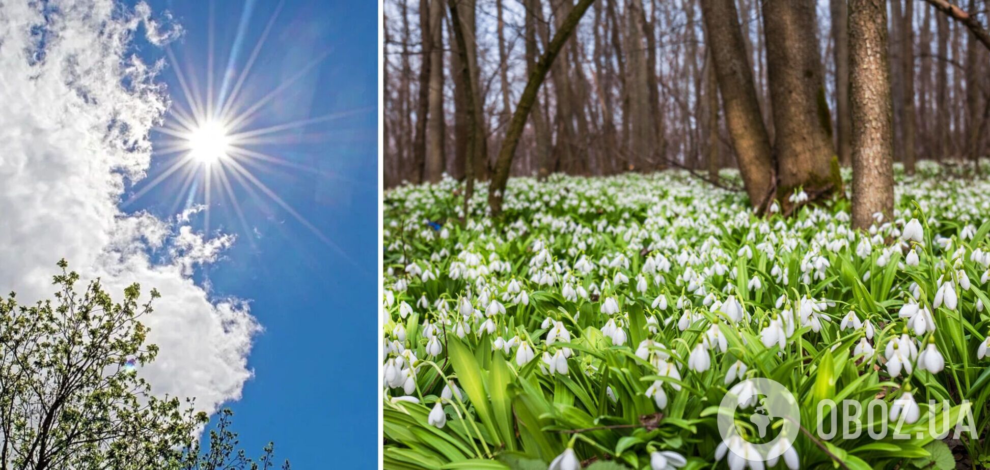 Тиск продовжуватиме падати: синоптики сказали, де в середу очікувати дощів. Карта