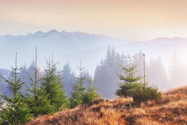 'Будет комфортная погода': синоптик дала прогноз на четверг и назвала сроки похолодания в Украине