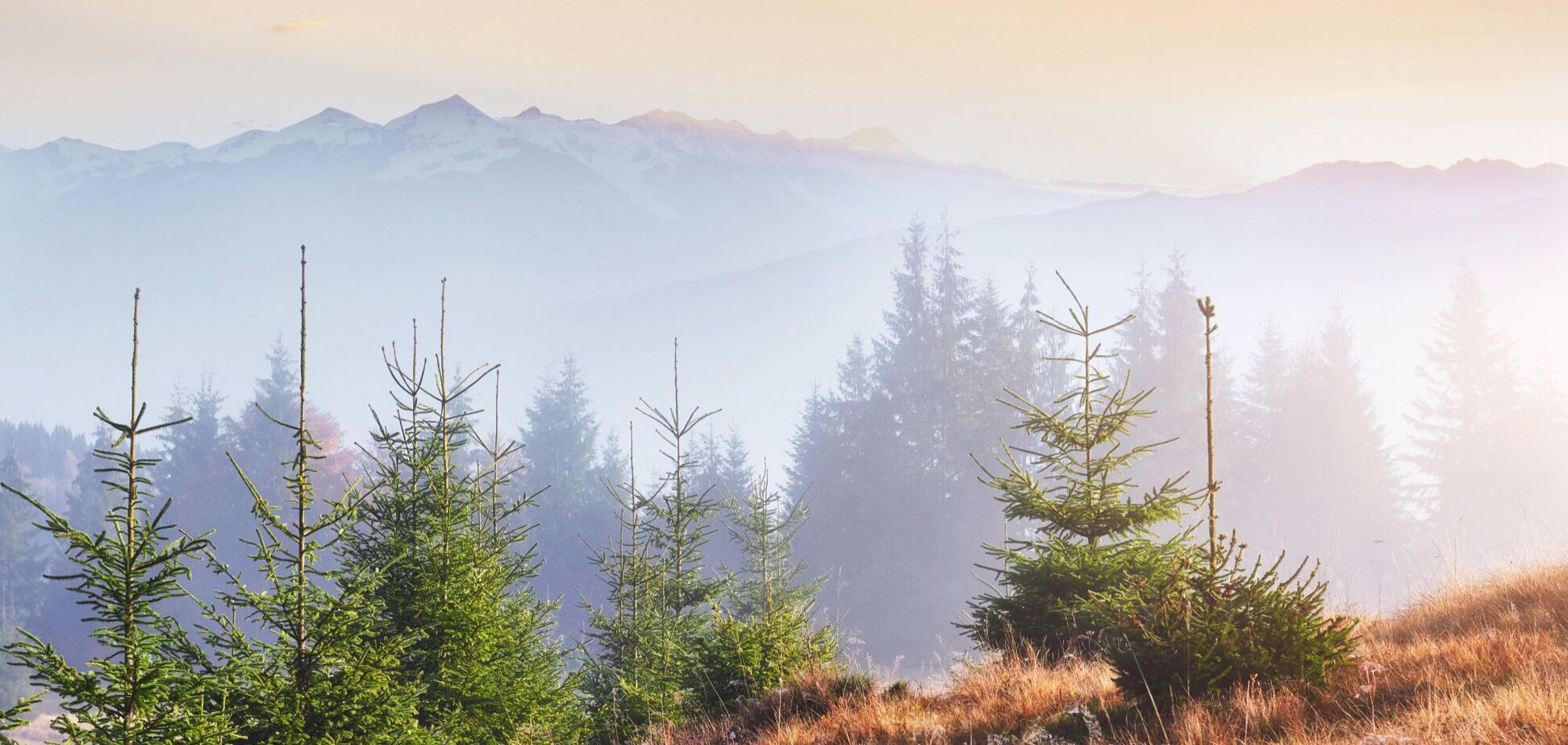 'Будет комфортная погода': синоптик дала прогноз на четверг и назвала сроки похолодания в Украине