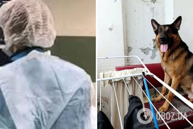 У Кривому Розі вівчарка розірвала обличчя дівчині під час стриму у ТікТок: деталі трагедії