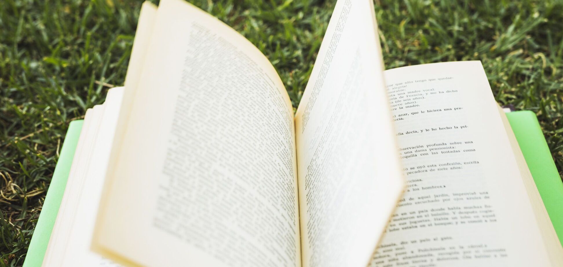 Лиш, лише чи лишень? Як сказати правильно українською