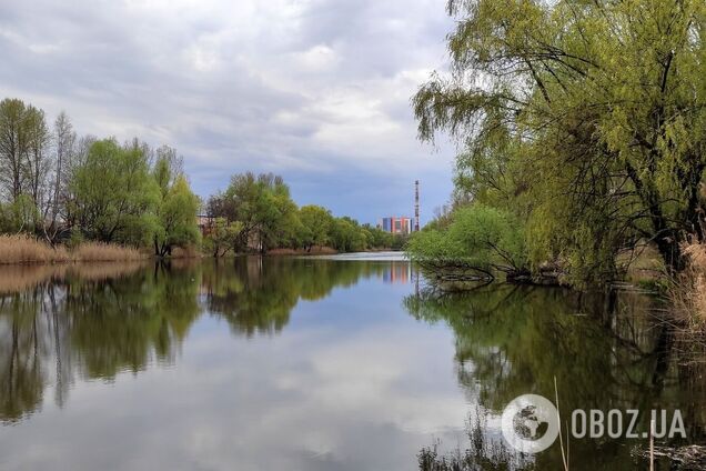 Облачно с прояснениями и до +18°С: прогноз погоды по Киевской области на 28 марта