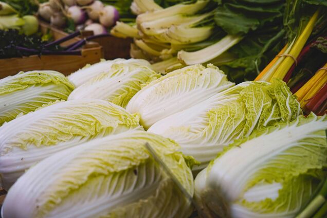 Иллюстрация - пекинская капуста