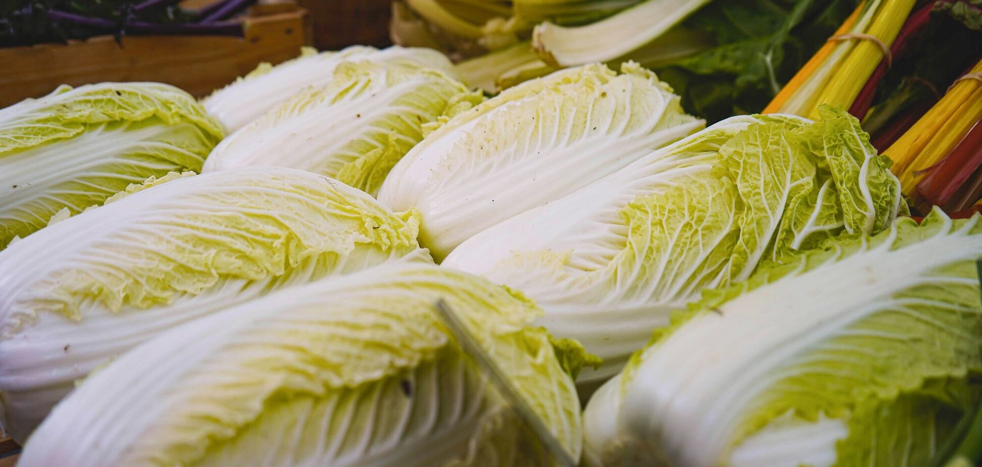 Ілюстрація - пекінська капуста