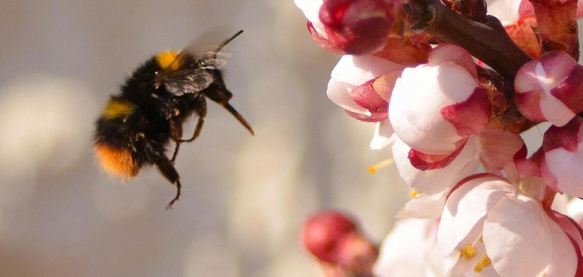 Какой праздник отмечают 30 марта: все об этом дне