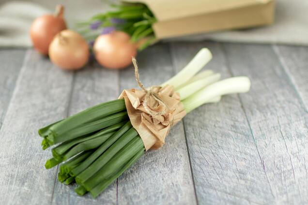 Как вырастить зеленый лук в стакане за несколько дней: больше не надо покупать