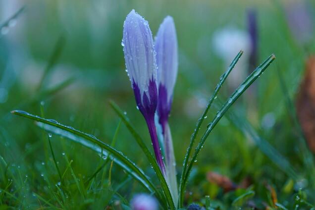 Сонця не буде? Синоптики дали прогноз на початок тижня в Україні. Карта