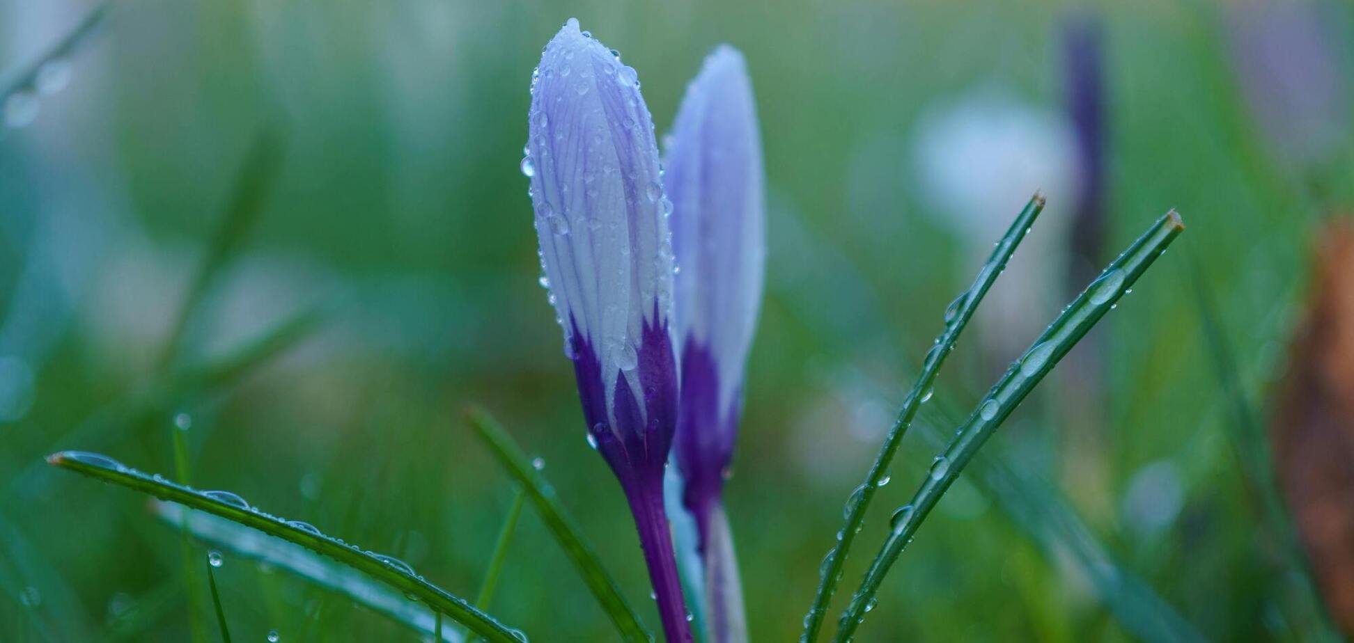 Сонця не буде? Синоптики дали прогноз на початок тижня в Україні. Карта