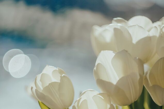 Яке свято відзначають 8 березня: церковний календар