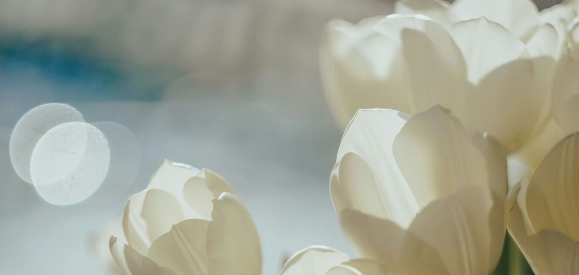 Яке свято відзначають 8 березня: церковний календар