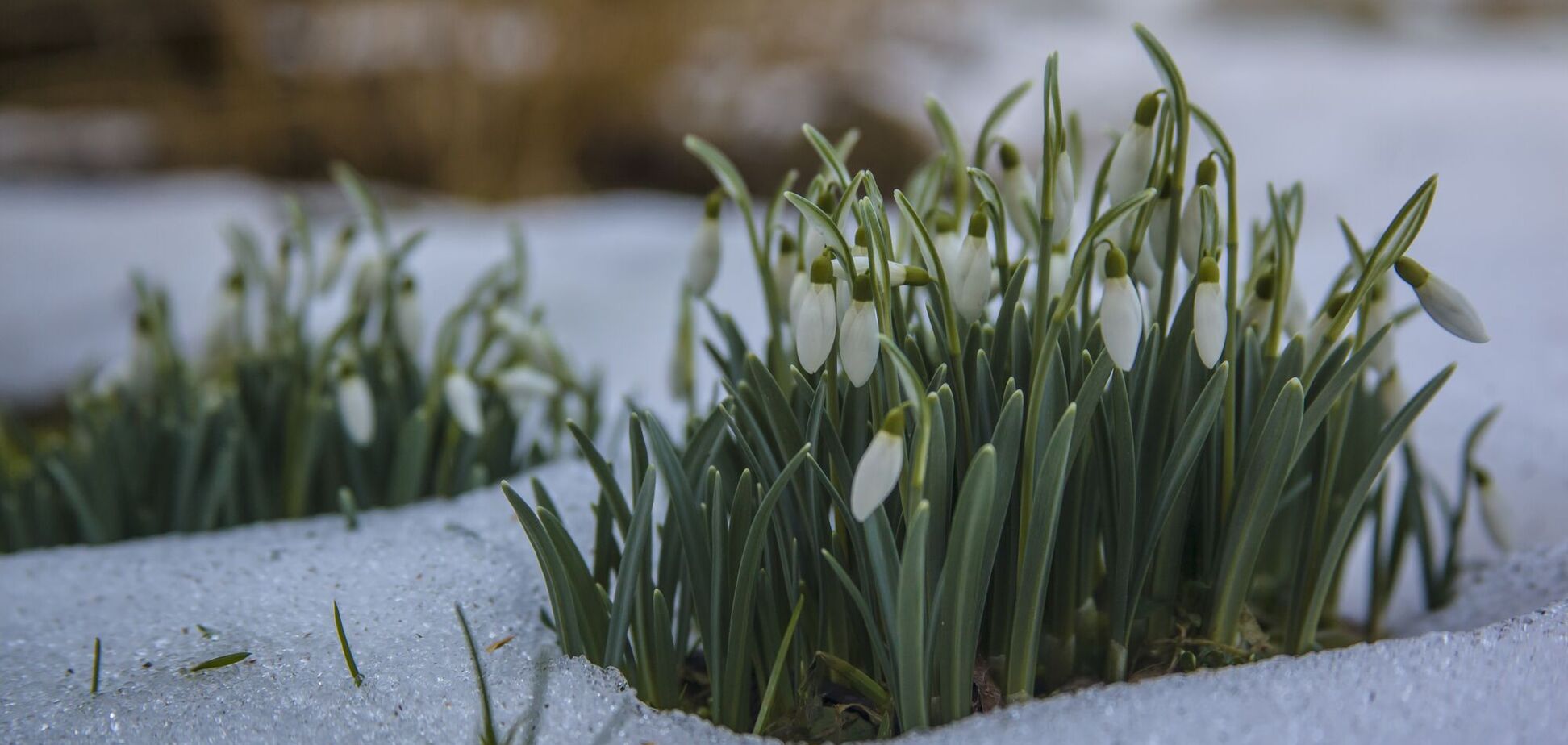Весна не спешит: синоптики сказали, где во вторник возможен мокрый снег. Карта