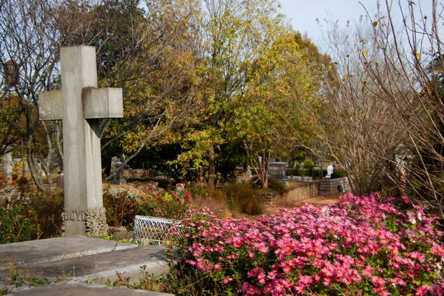 Складні у догляді або недоречні: які квіти не варто садити на цвинтарі