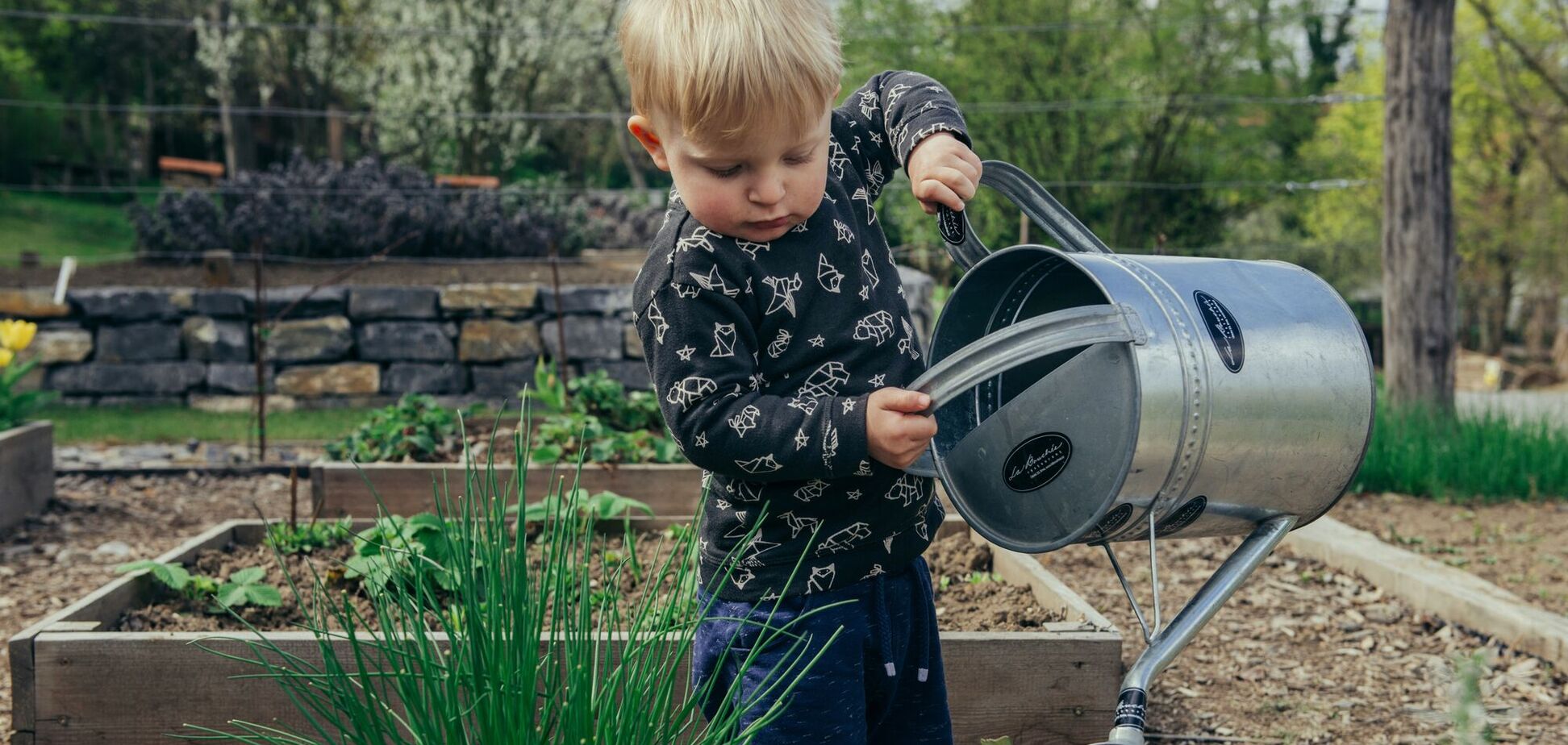 Вербний тиждень: в які дні не можна працювати на городі