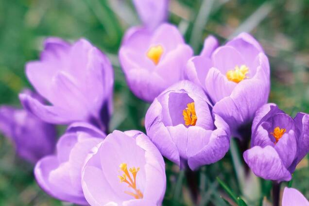 Какой праздник отмечают 31 марта в Украине: все об этом дне