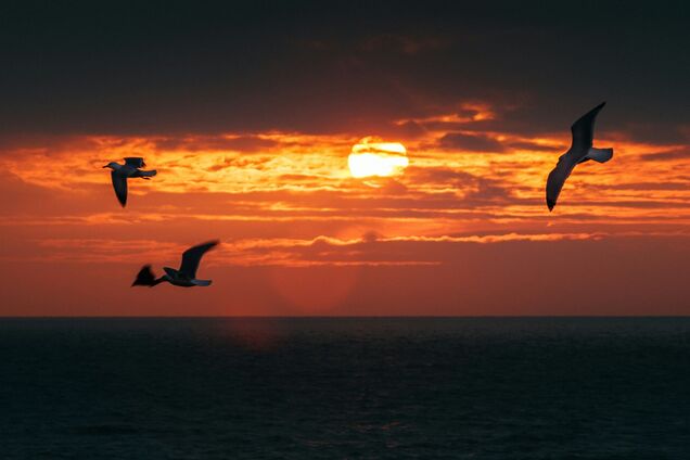Что будет с Землей, если исчезнет Солнце: ученые дали ответ