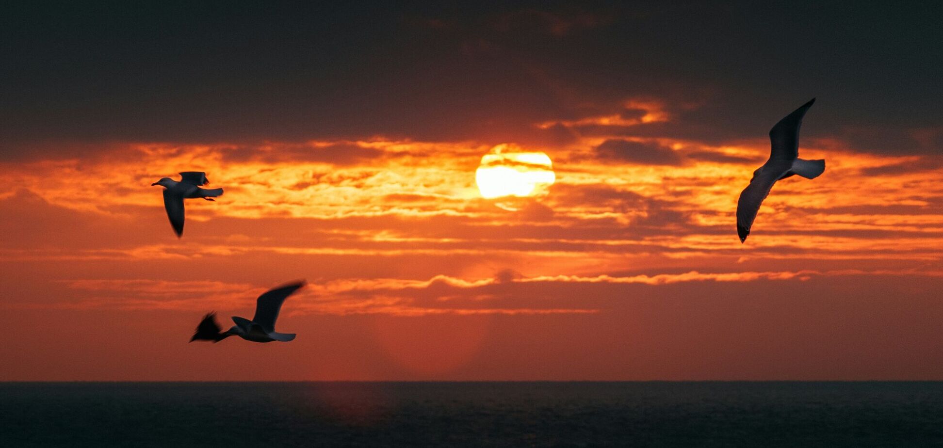 Що буде з Землею, якщо зникне Сонце: вчені дали відповідь