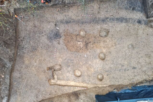 В Польше обнаружили гробницу, которой 6000 лет: это проливает свет на доисторическую Европу. Фото