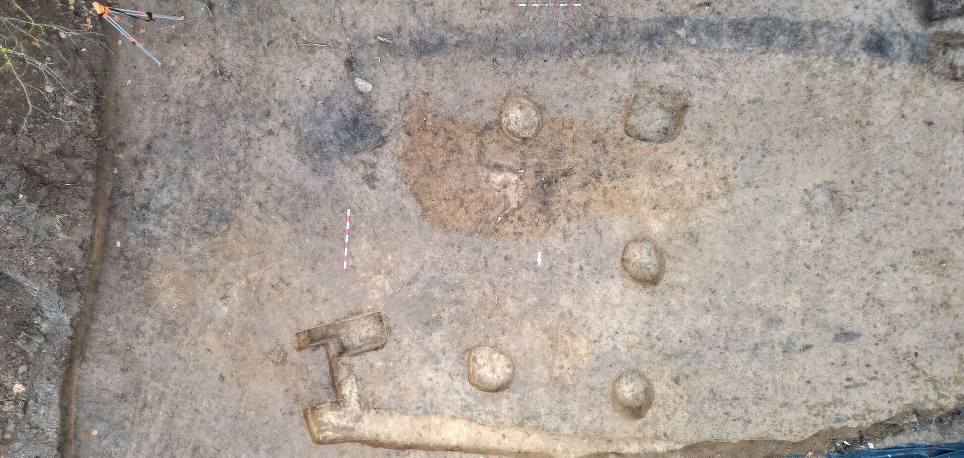 В Польше обнаружили гробницу, которой 6000 лет: это проливает свет на доисторическую Европу. Фото