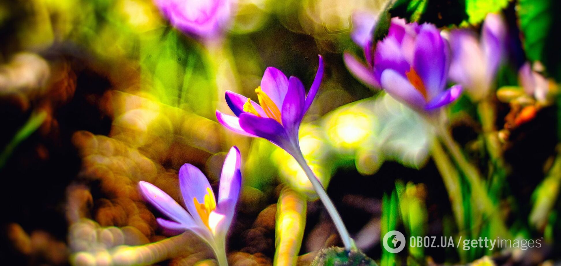 Сонячно, приємно і кофмортно: у Гідрометцентрі порадували українців прогнозом погоди