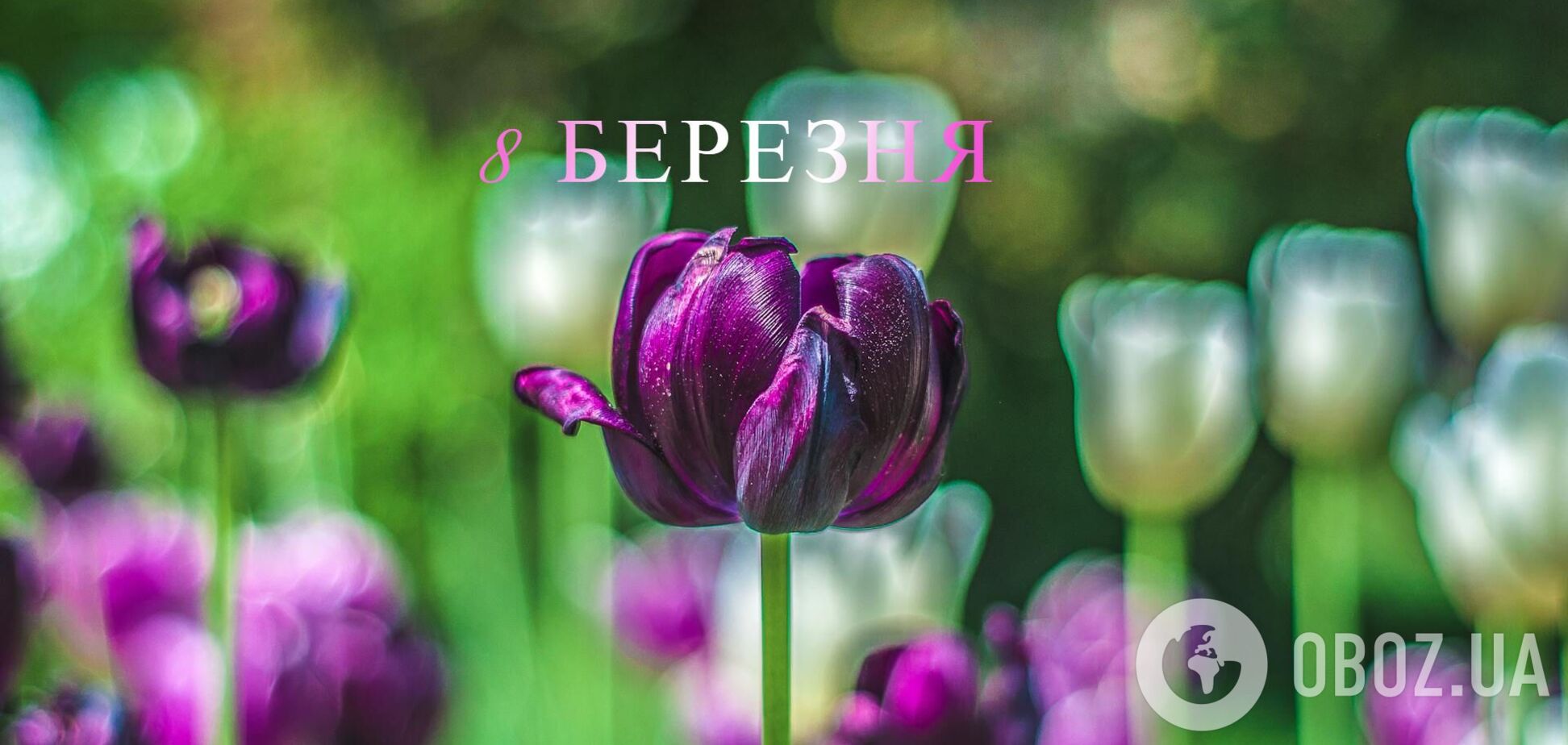 З Міжнародним жіночим днем 2026: привітання для рідних і коханих