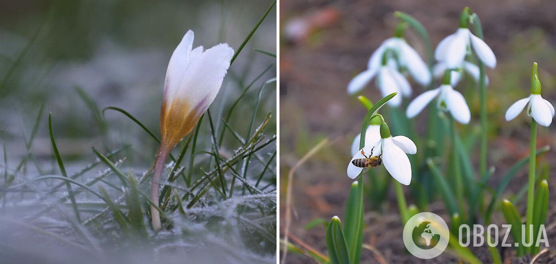 В Украину идет теплый антициклон: синоптики сказали, какой погоды ожидать на выходных. Карта