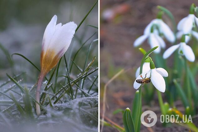 В Украину идет теплый антициклон: синоптики сказали, какой погоды ожидать на выходных. Карта