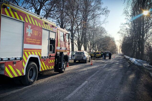 На Київщині легковик протаранив дерево: є загибла. Подробиці ДТП та фото