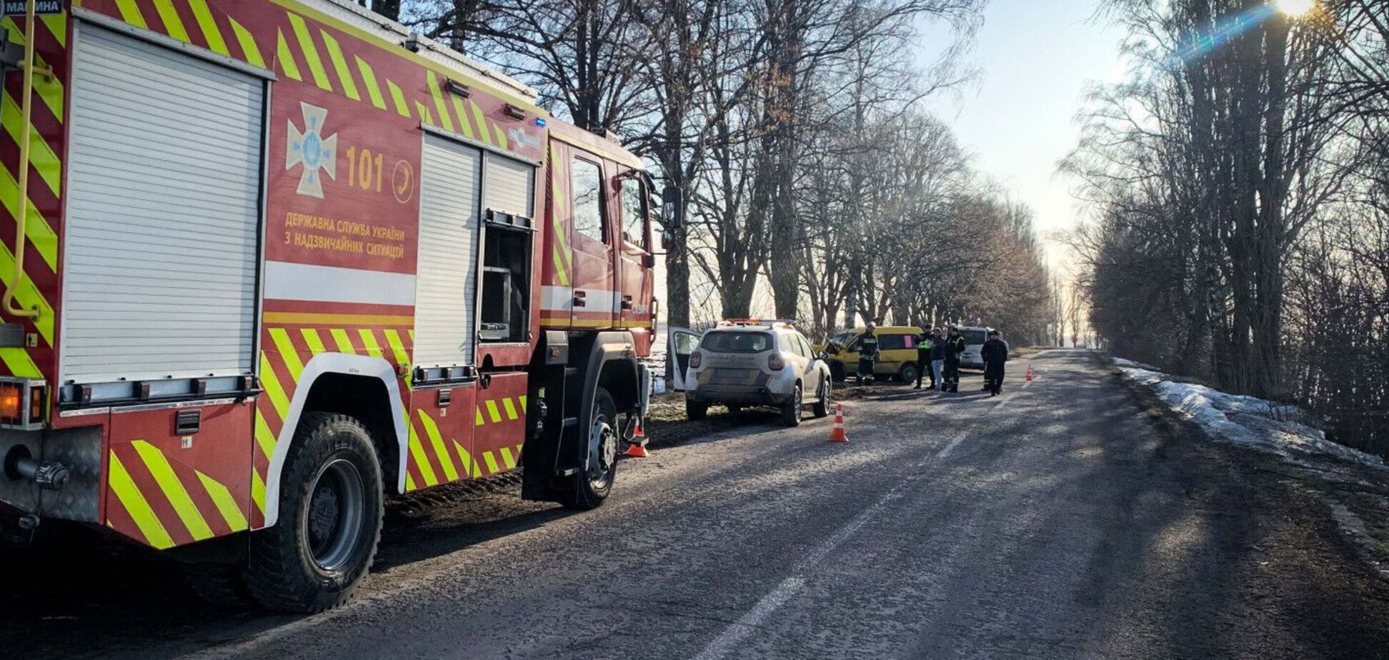 На Киевщине легковушка протаранила дерево: есть погибшая. Подробности ДТП и фото