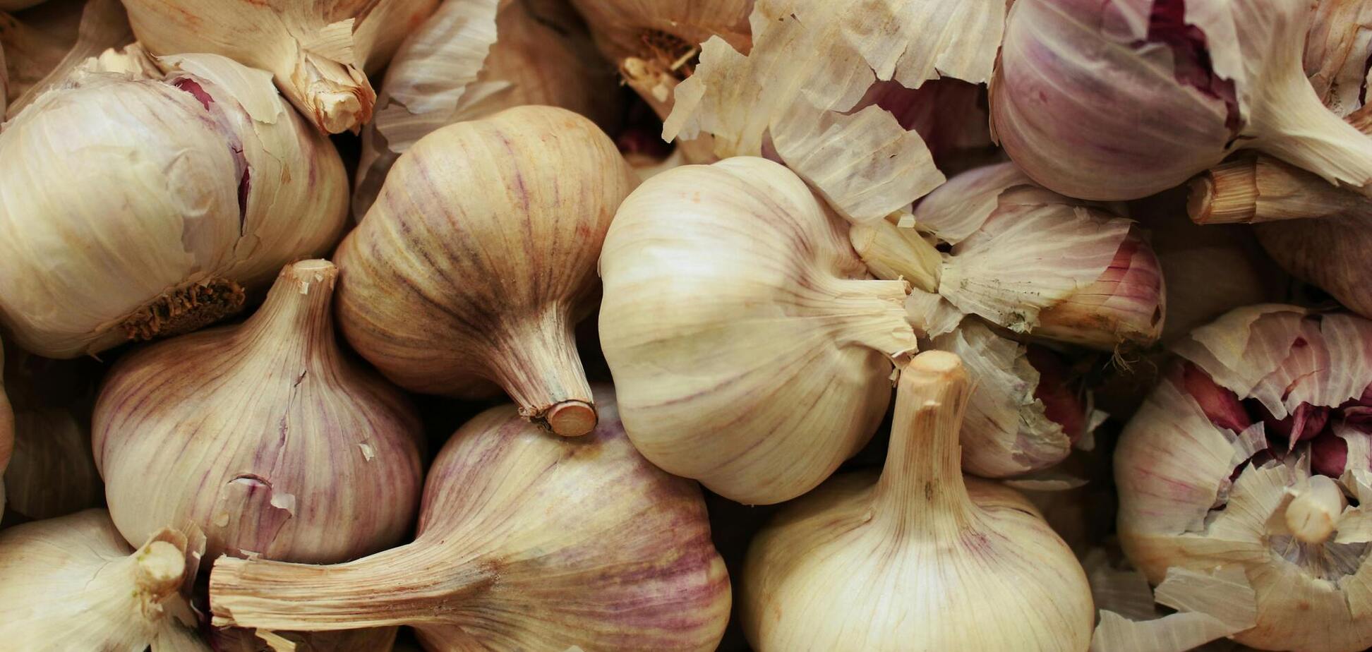 Где хранить чеснок, чтобы он долго оставался свежим: идеальное место