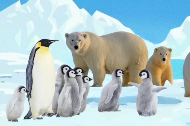 В чем ошибка? Тест для самых умных