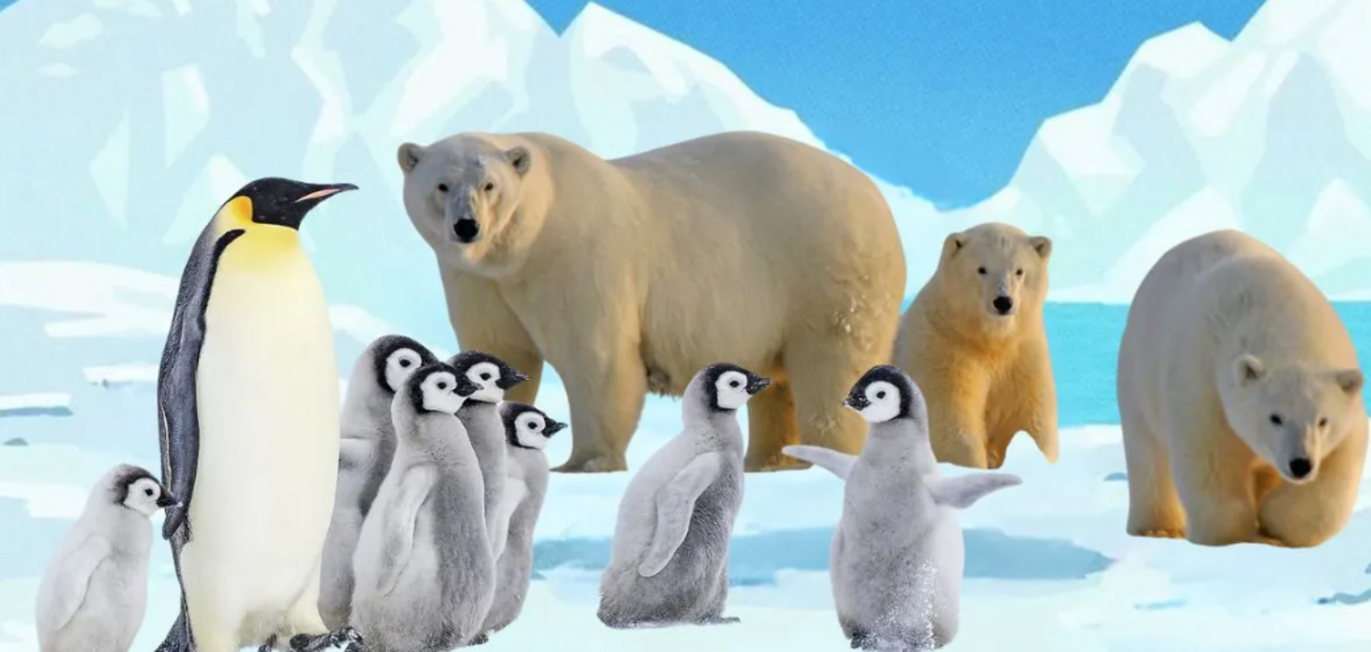 В чем ошибка? Тест для самых умных