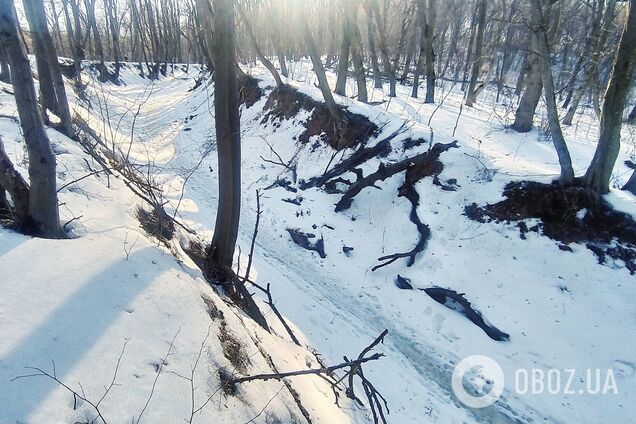 У Києві досі можна побачити унікальну 'Танкову дорогу', якій близько 200 років. Історія та фото