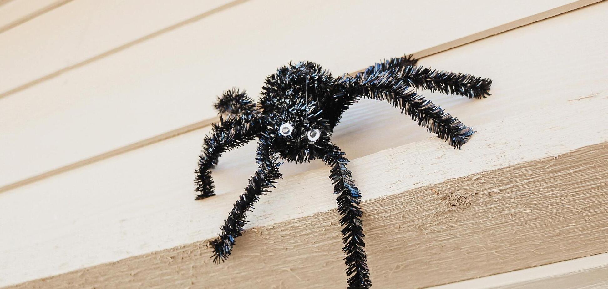 Чем отпугнуть пауков от дома: спасет одно натуральное средство