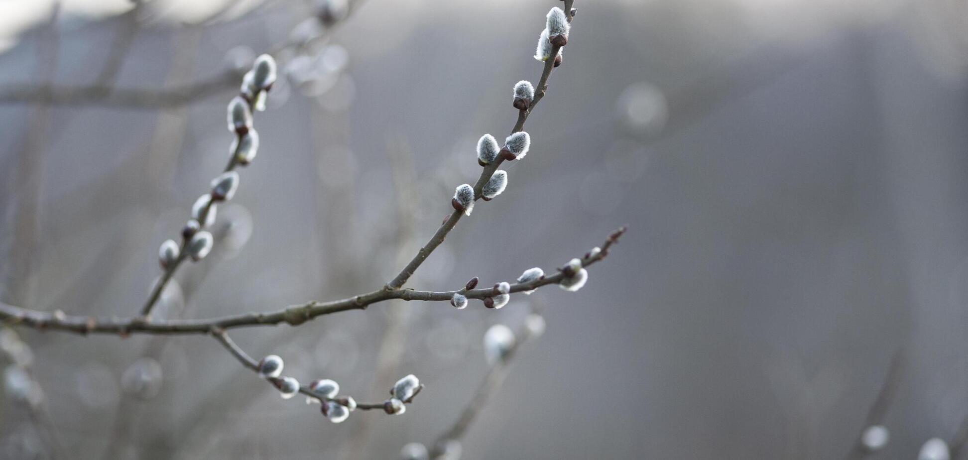 Тепло, но возможен гололед: чем удивит украинцев погода 8 марта. Карта